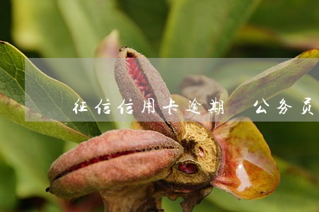 征信信用卡逾期 公务员考察 征信信用卡逾期 公务员考察
